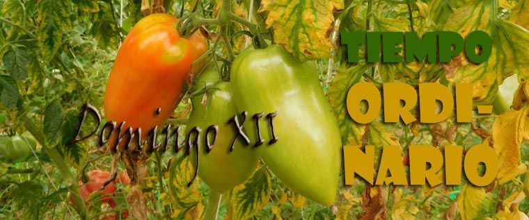 65A3DA1D-DC36-464E-B43A-AFBBBA0B9B9F